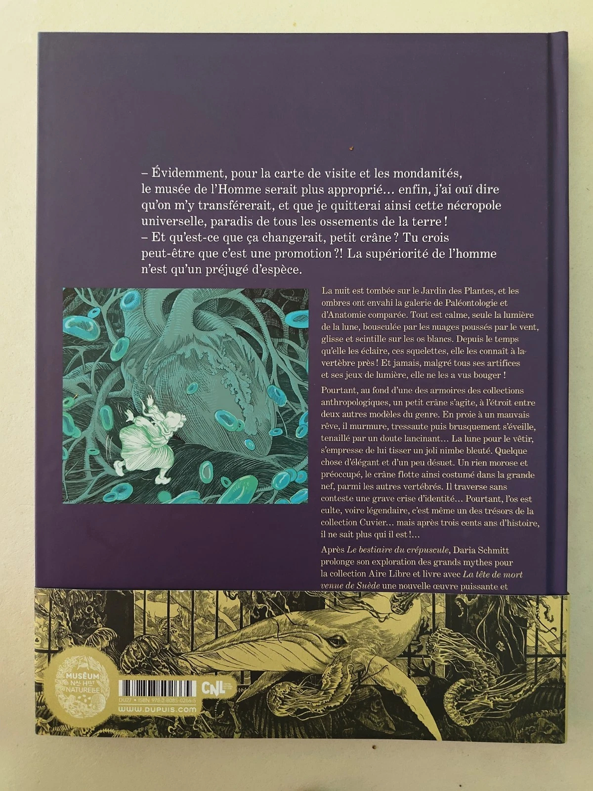 s-l1600-352.jpg